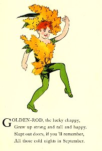 58 Goldenrod