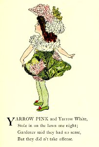 44 Yarrow