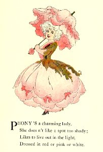46 Peony
