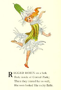 43 Ragged Robin