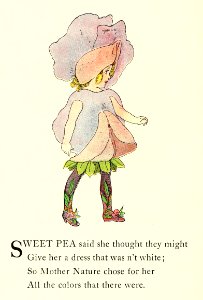 41 Sweet Pea