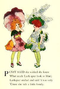 34 Pansy and Larkspur
