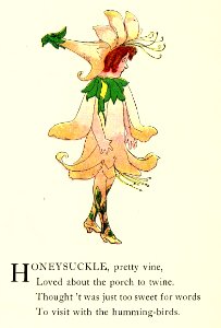 29 Honeysuckle