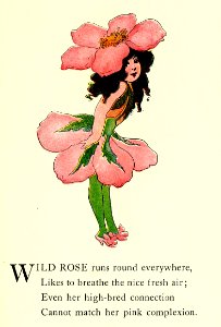 30 Wild Rose