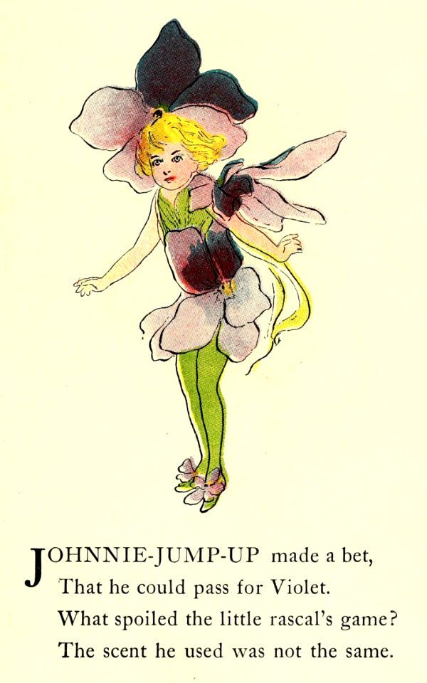 16 Johnnie Jump-Up