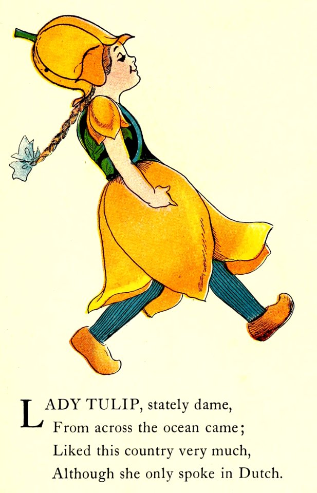 06 Tulip