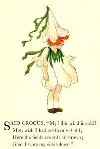 02 Crocus