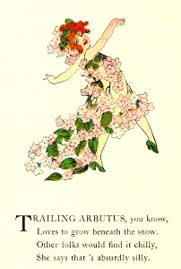 03 Trailing Arbutus