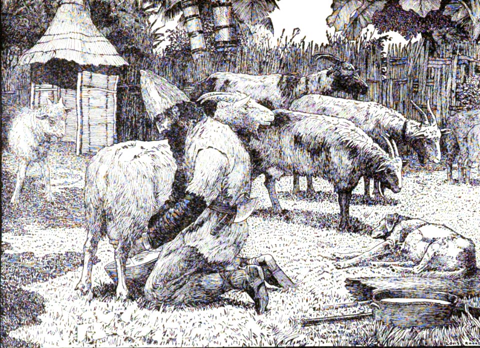 17