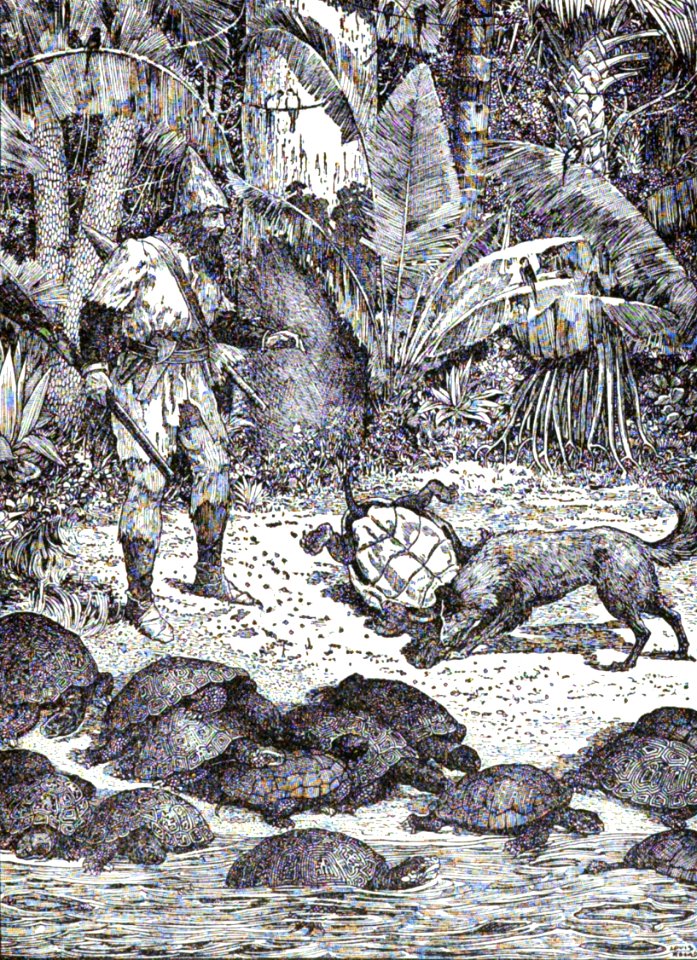 12