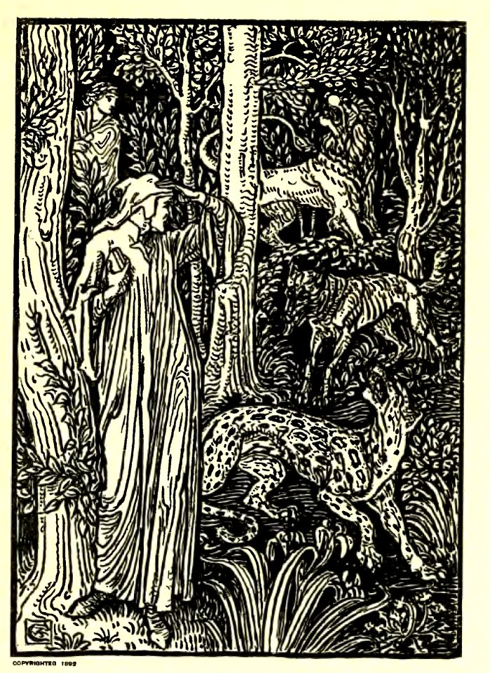 Vision of Dante 1