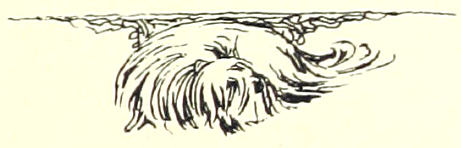 151