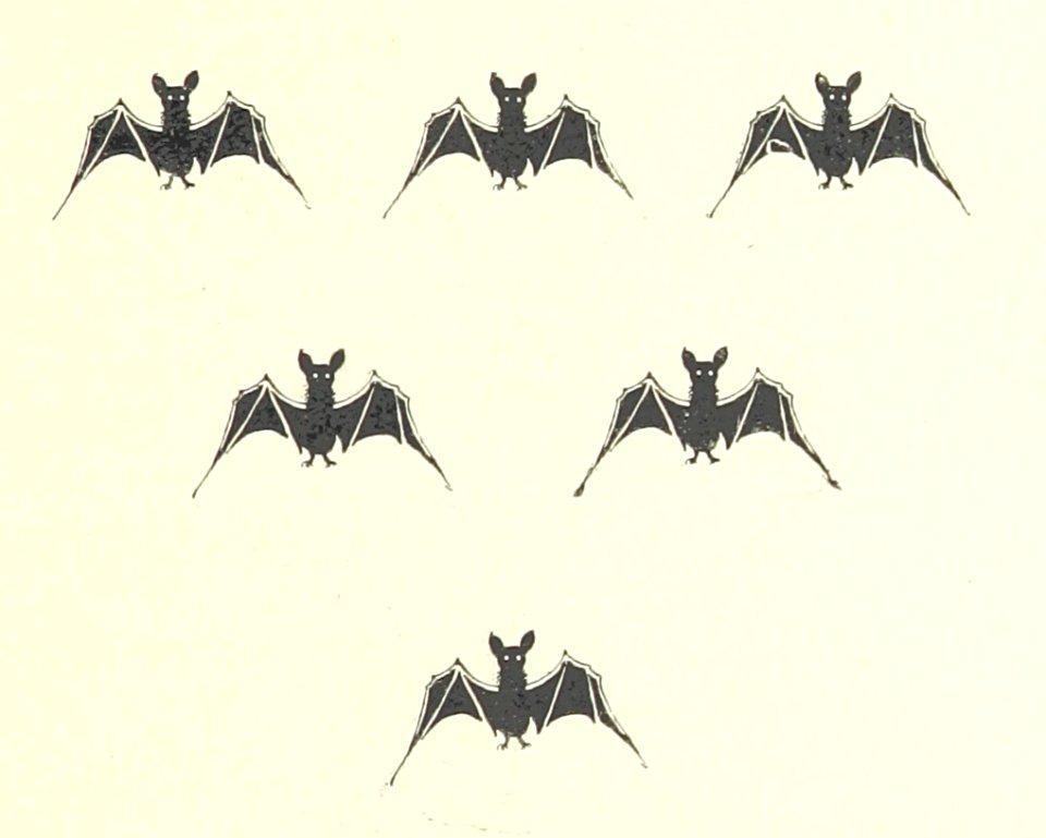 135