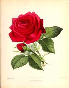 1880 No 108 December Plate 430