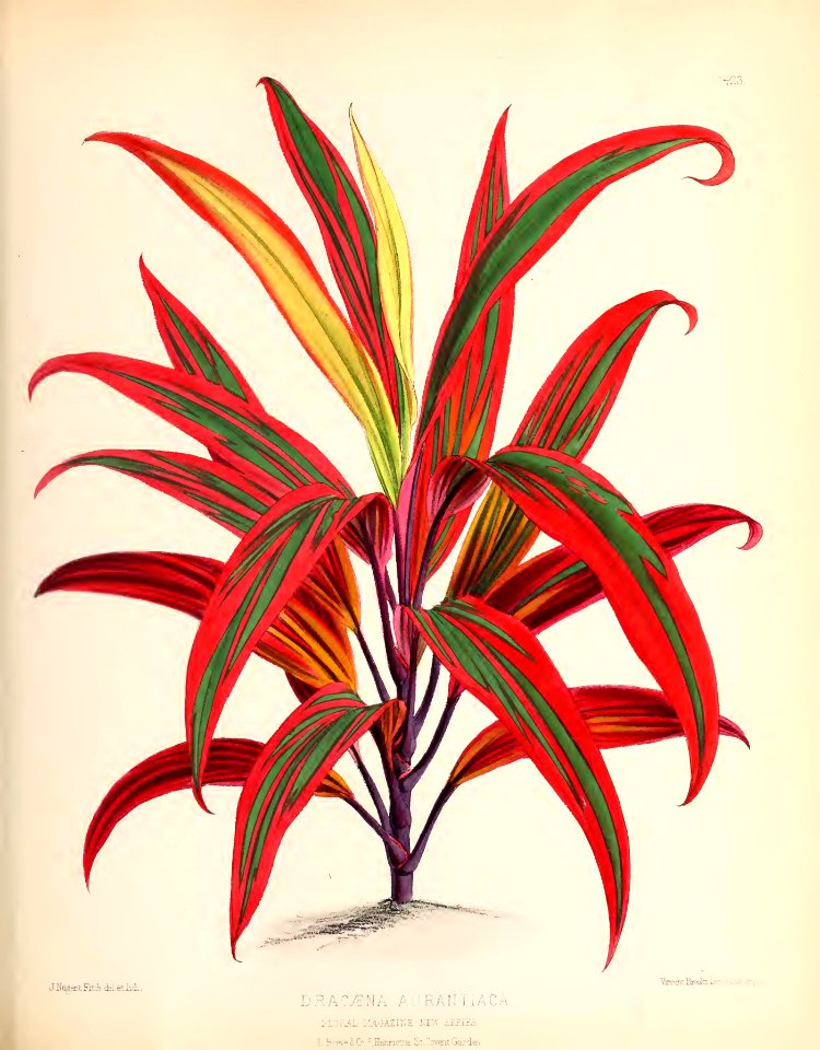 1880 No 106 October Plate 423