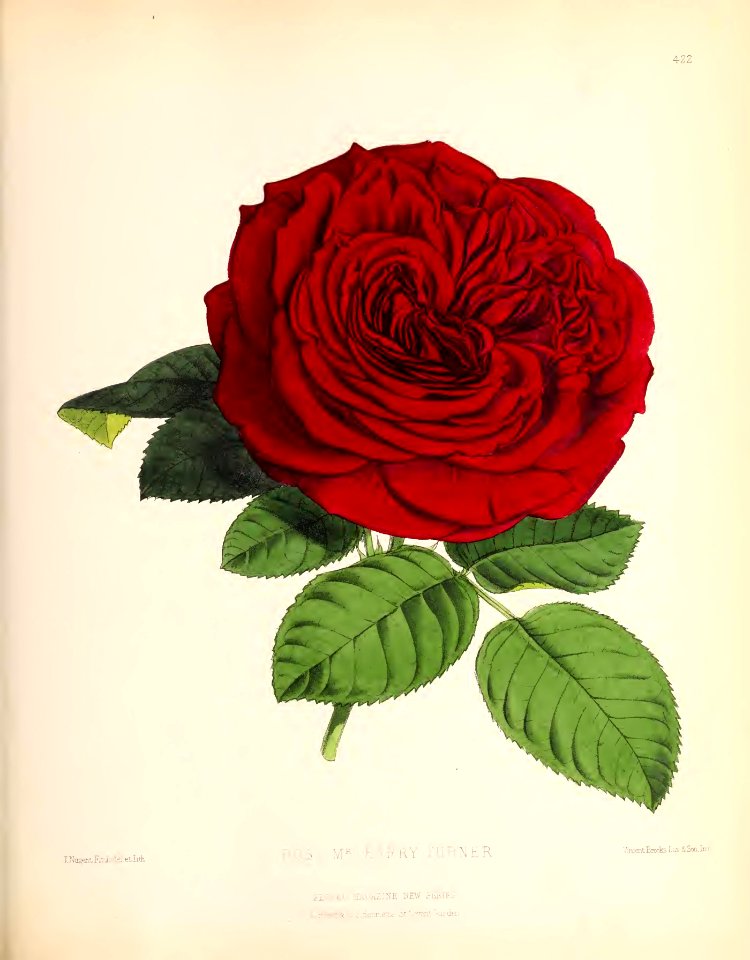 1880 No 106 October Plate 422