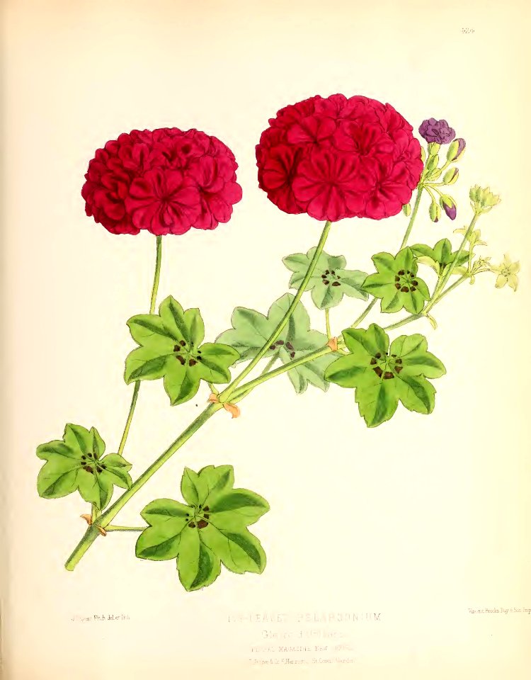 1880 No 106 October Plate 424
