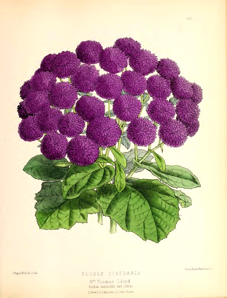 1880 No 101 May Plate 402