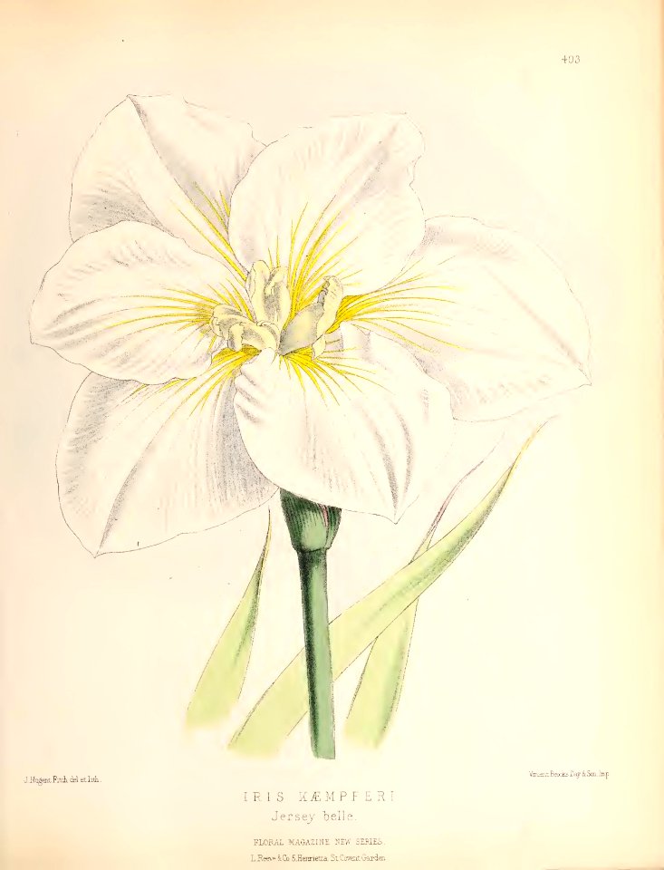 1880 No 101 May Plate 403