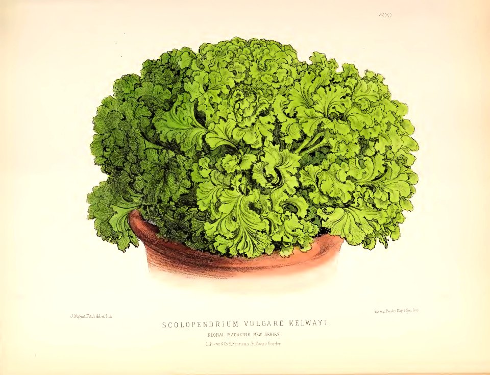 1880 No 100 April Plate 400
