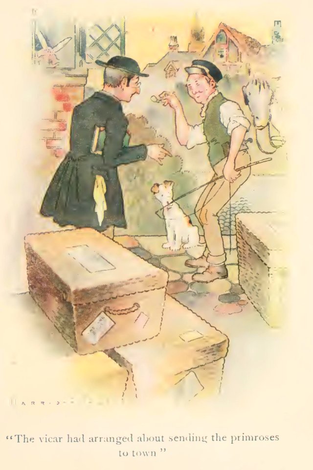 Spring Cleaning 19