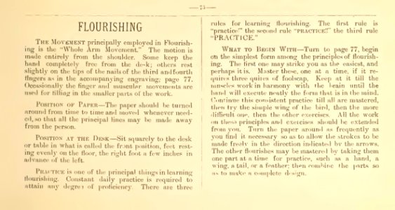 Penmanship 79
