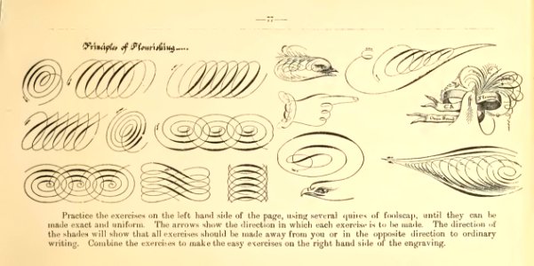 Penmanship 81