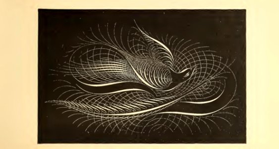 Penmanship 85