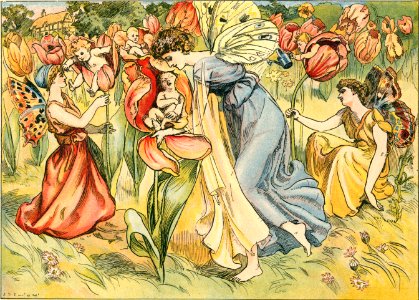 J S Elund 03 Tulip