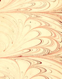 Marbled 631