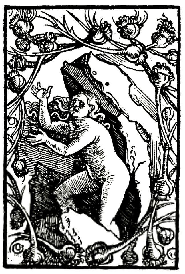 Marks078