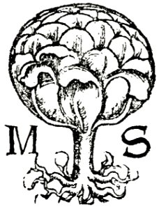 Marks077
