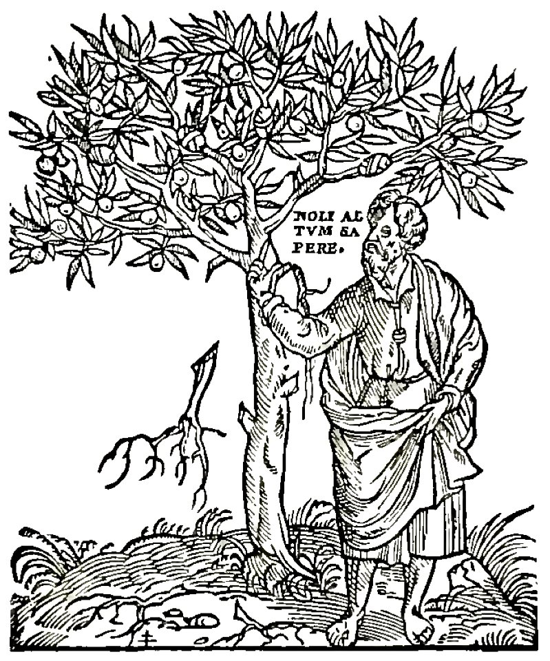 Marks063