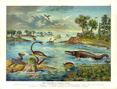 1886 Ichthyosaurus, Plesiosaurus, Pterodactylus. Free illustration for personal and commercial use.