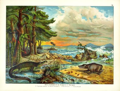 1886 Equisetum columnare, Mastodonsaurus, Belodon