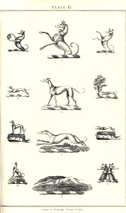Royal book of crests of Great Britain and Ireland, Dominion of Canada, India and Australasia 2_039