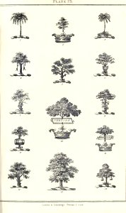 Royal book of crests of Great Britain and Ireland, Dominion of Canada, India and Australasia 2_055
