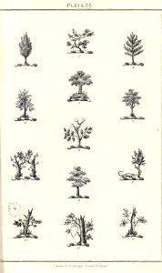 Royal book of crests of Great Britain and Ireland, Dominion of Canada, India and Australasia 2_057