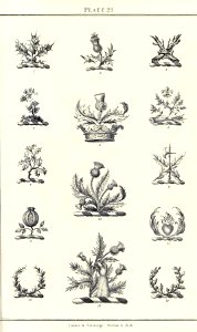 Royal book of crests of Great Britain and Ireland, Dominion of Canada, India and Australasia 2_063
