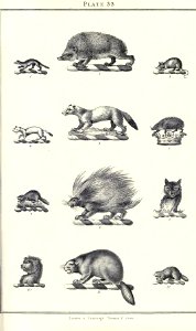 Royal book of crests of Great Britain and Ireland, Dominion of Canada, India and Australasia 2_071