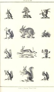 Royal book of crests of Great Britain and Ireland, Dominion of Canada, India and Australasia 2_121