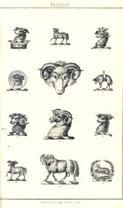 Royal book of crests of Great Britain and Ireland, Dominion of Canada, India and Australasia 2_119