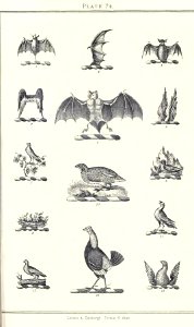 Royal book of crests of Great Britain and Ireland, Dominion of Canada, India and Australasia 2_153