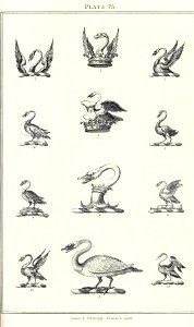 Royal book of crests of Great Britain and Ireland, Dominion of Canada, India and Australasia 2_155
