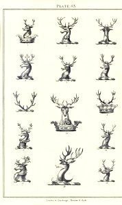Royal book of crests of Great Britain and Ireland, Dominion of Canada, India and Australasia 2_171