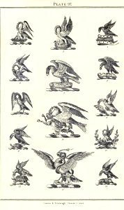 Royal book of crests of Great Britain and Ireland, Dominion of Canada, India and Australasia 2_199