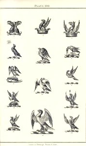 Royal book of crests of Great Britain and Ireland, Dominion of Canada, India and Australasia 2_205