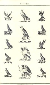 Royal book of crests of Great Britain and Ireland, Dominion of Canada, India and Australasia 2_213
