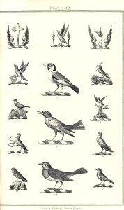 Royal book of crests of Great Britain and Ireland, Dominion of Canada, India and Australasia 2_229