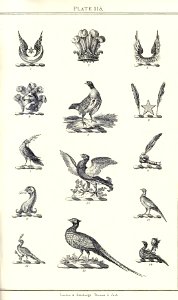 Royal book of crests of Great Britain and Ireland, Dominion of Canada, India and Australasia 2_231